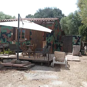 Mannucciu , Rena Majore Italia